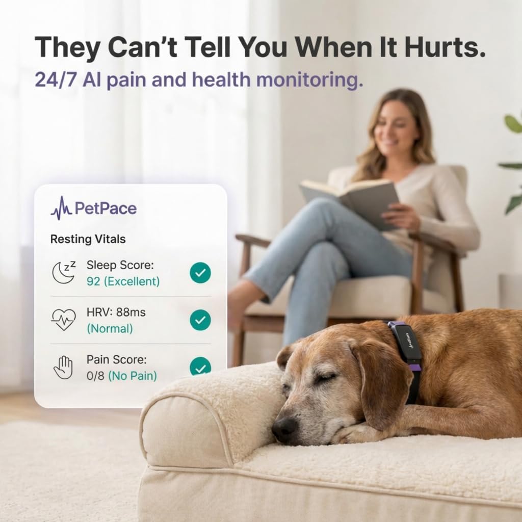 NEW Dog Health Monitor V3.0 by PetPace – AI Smart Collar with 24/7 Vital Signs, Pain & GPS Tracking, Telehealth AskaVet & Share With Your Vet, Smartwatch Sync – Subscription Required (Large)
