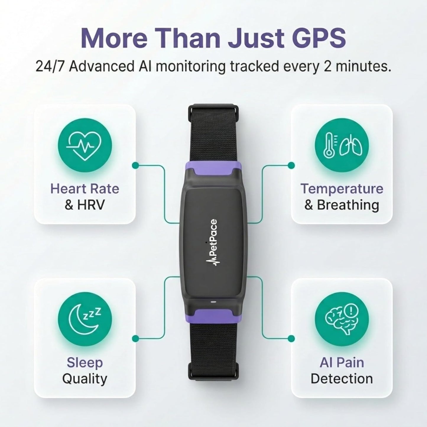 NEW Dog Health Monitor V3.0 by PetPace – AI Smart Collar with 24/7 Vital Signs, Pain & GPS Tracking, Telehealth AskaVet & Share With Your Vet, Smartwatch Sync – Subscription Required (Large)
