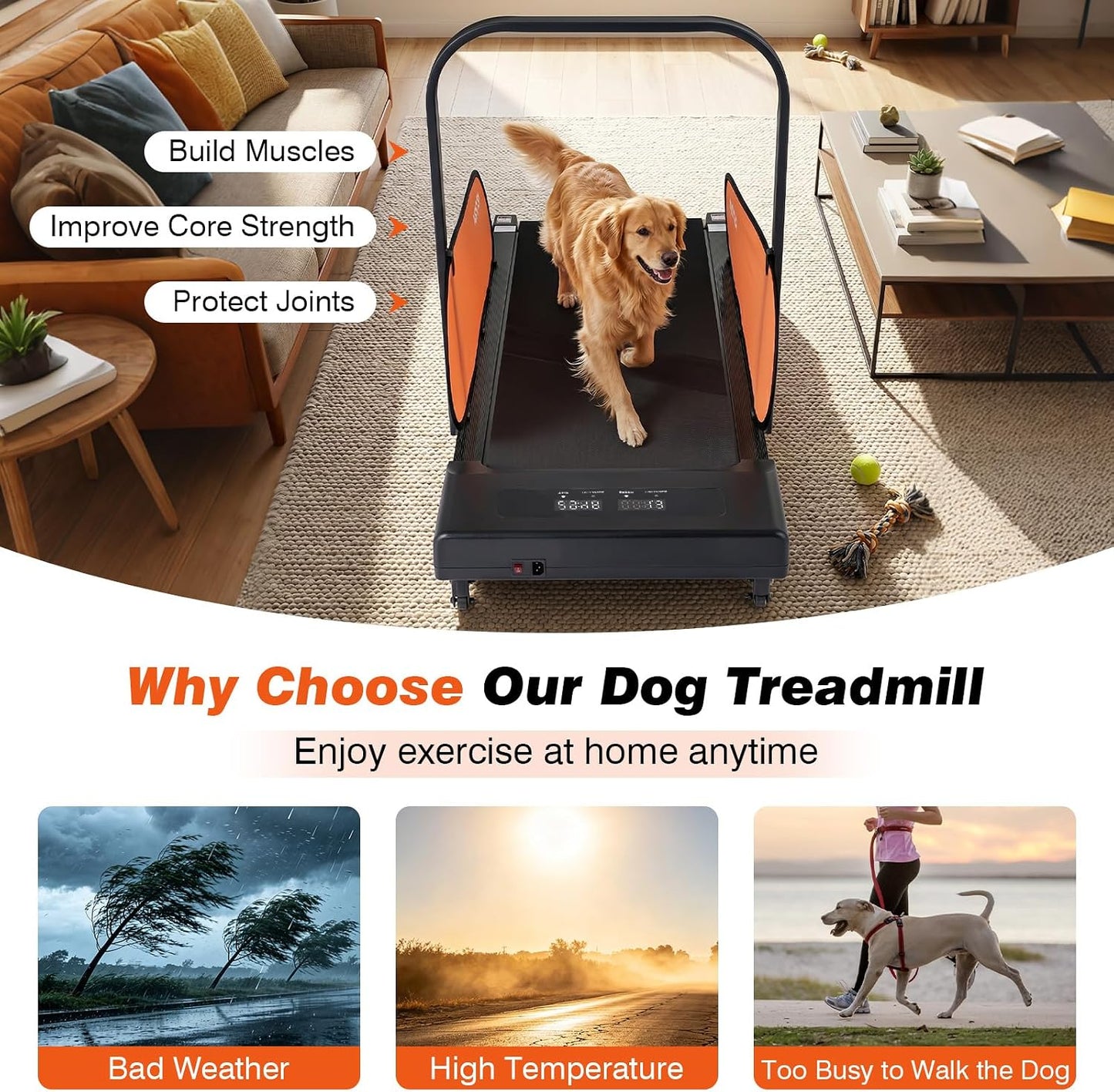Dog Treadmill for Small & Medium Sized Dogs, 2.5 HP Low-Noise Powerful Motor, Easy-to-Monitor LED Display, Remote Control, 15 Programs, 0.6-6 Mph, Timer Function, Indoor Pet Exercise Machine